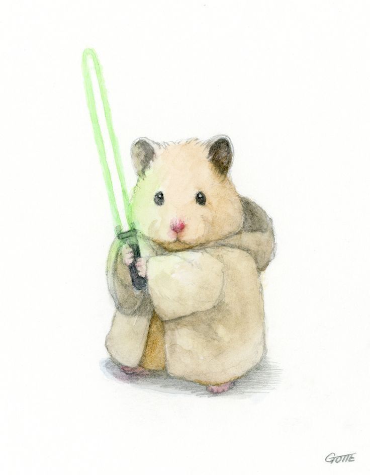 Foto: A long time ago in a galaxy far, far away....